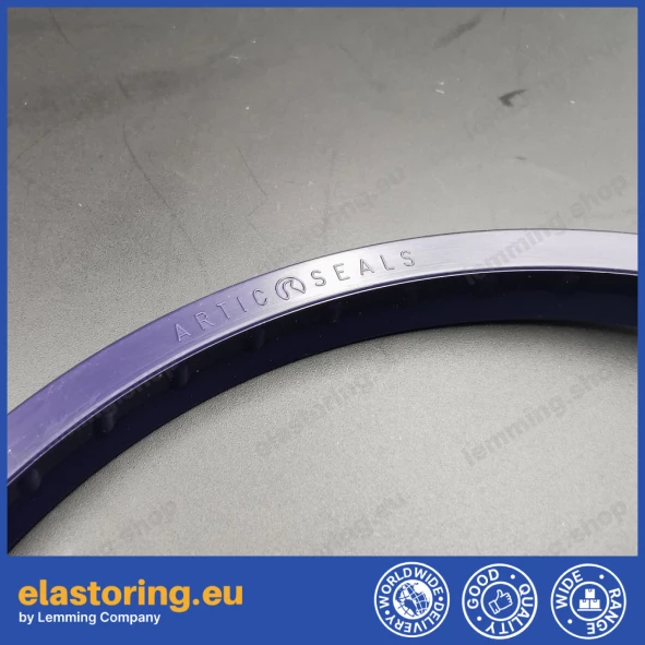 Wiper WAT 12x20x5 C0 [2EWAT002]